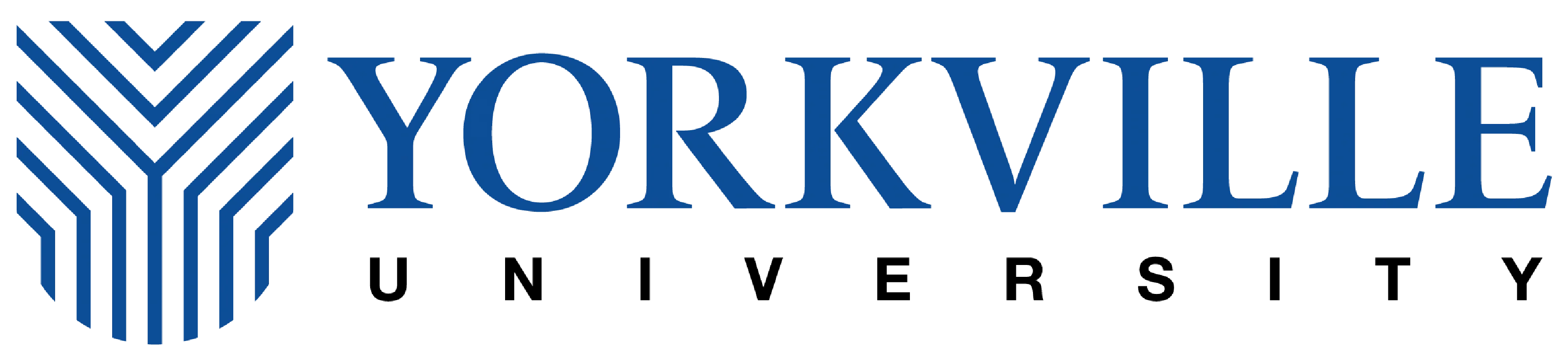 York University